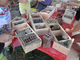 Unterschiedlichste 'Zimmer' für unterschiedliche Insekten